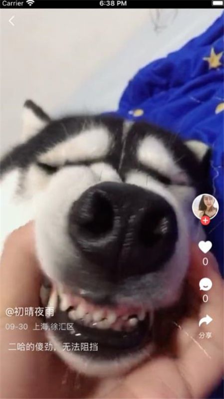 飞鸟清理管家