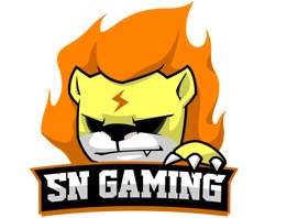 lolSN战队成员资料 SN战队解析