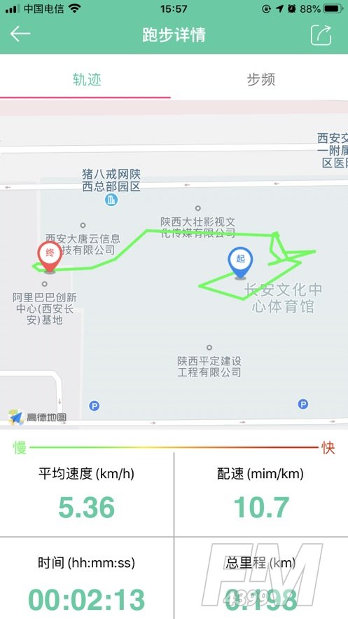体适能