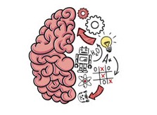 Brain Test全关卡攻略大全 Brain Test通关攻略合集