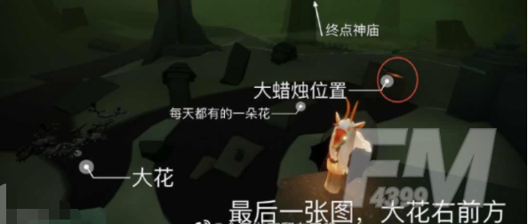 光遇点燃20根蜡烛任务如何完成 11月9日每日任务和蜡烛位置介绍