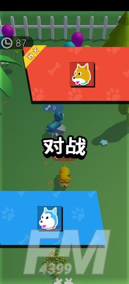 狗狗达人