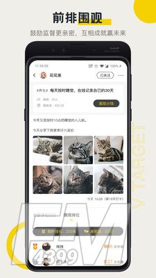 V目标