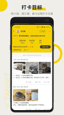 V目标截图