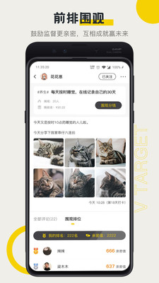 V目标截图