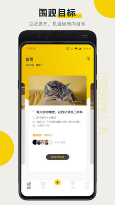 V目标截图