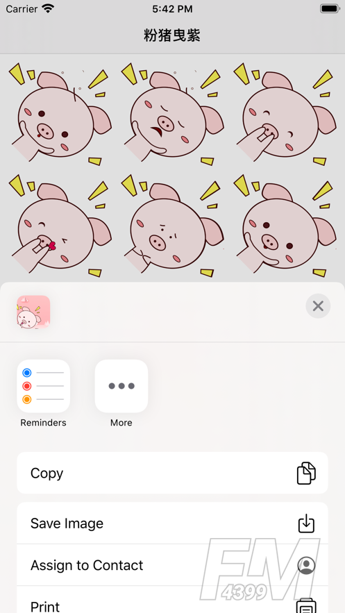 粉猪曳紫