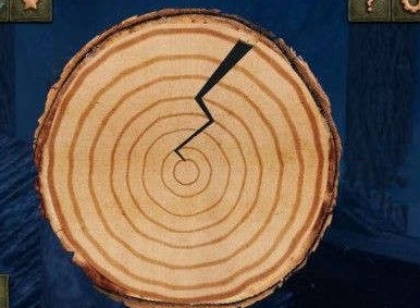 密室逃脱14第12关如何进行通关 第十二关攻略