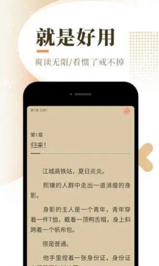 次元猫截图