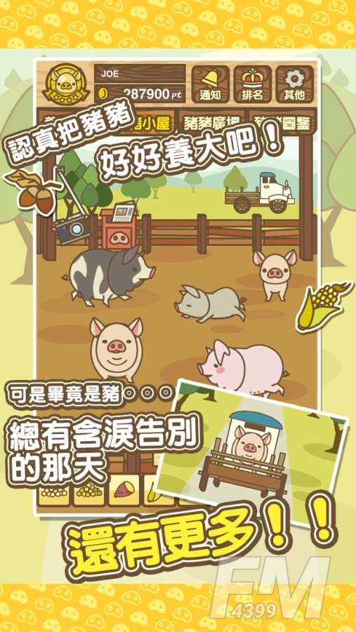 养猪场的快乐