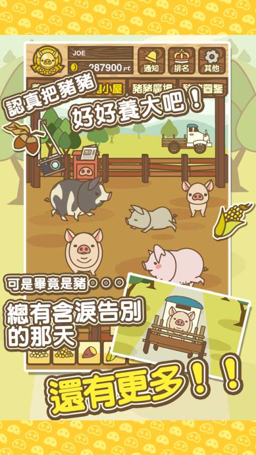 养猪场的快乐截图