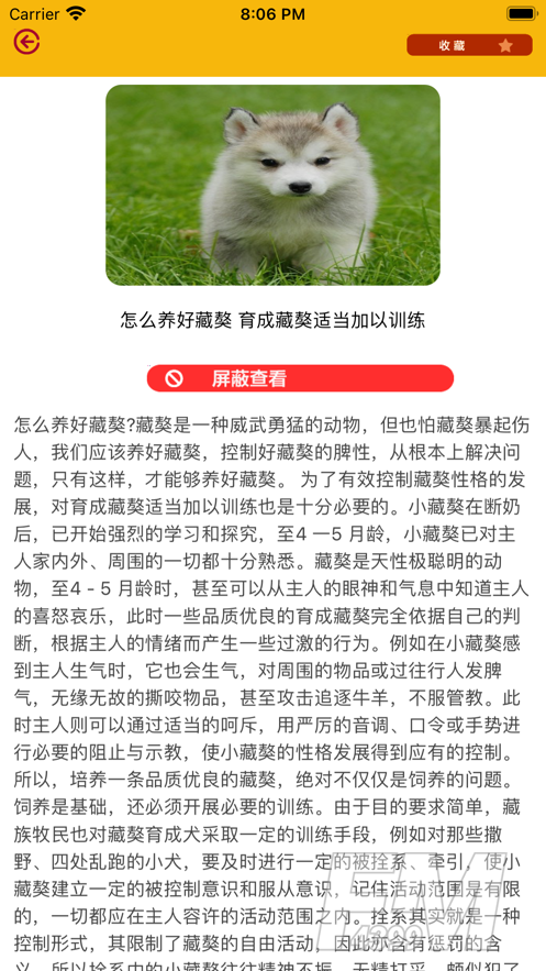 宠物宝库