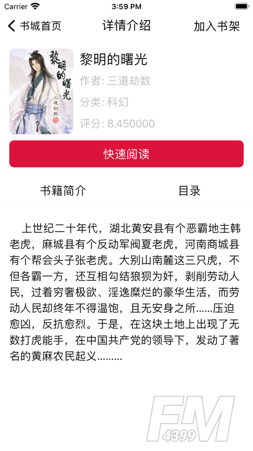 逐笔小说