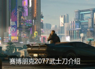 赛博朋克2077武士刀 武士刀汇总