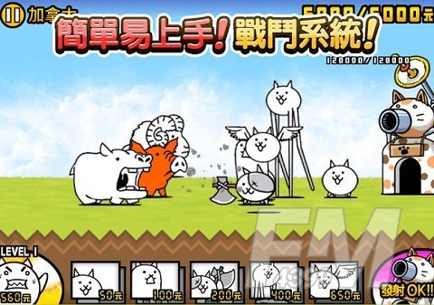 猫咪大战