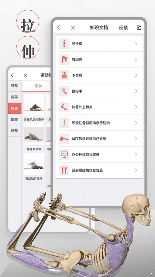 3D运动健康截图