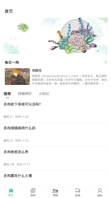 肉肉家截图