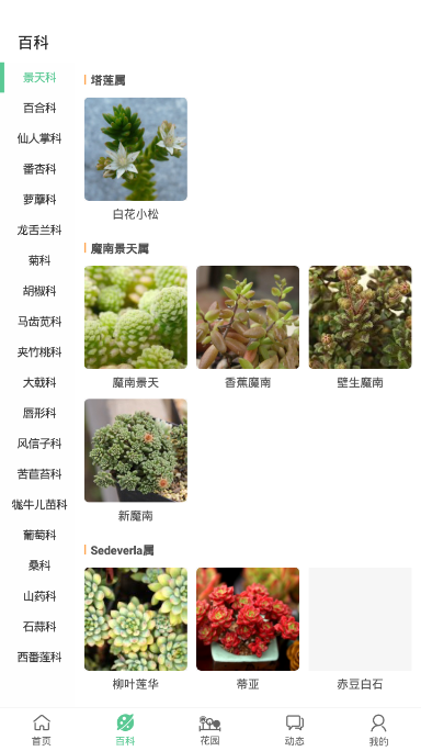 肉肉家截图