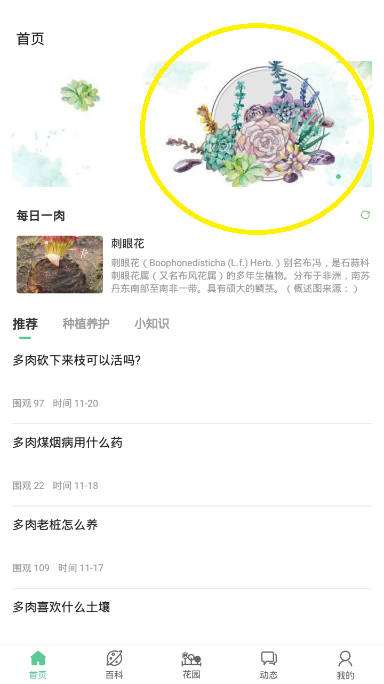 肉肉家截图