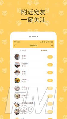 陪彼宠物