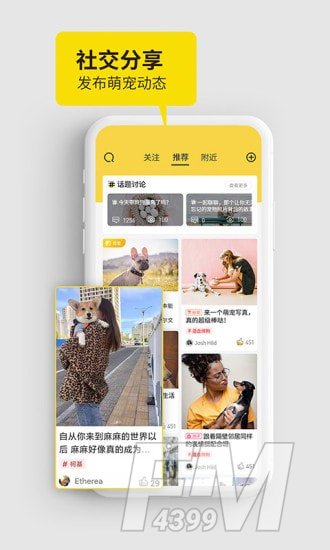 犬易宠物