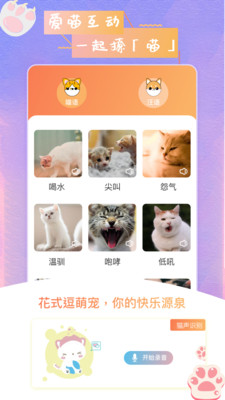 猫狗语翻译器截图