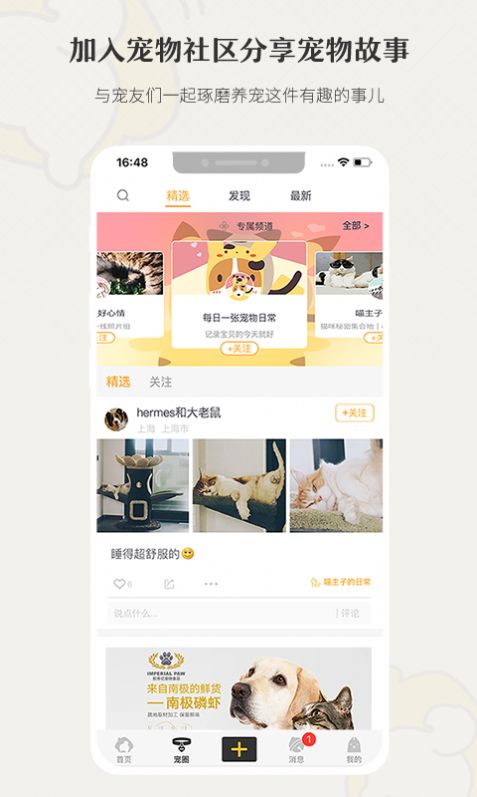 小狗在家宠物寄养截图