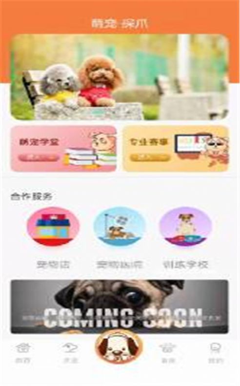 探爪截图