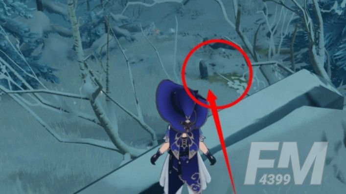 原神雪山三个匣子在哪？雪山三个匣子密室位置攻略[多图]图片6