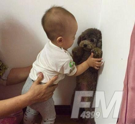 伤害不大侮辱性极高的句子大全：伤害不大侮辱性极高的经典语录[多图]图片3