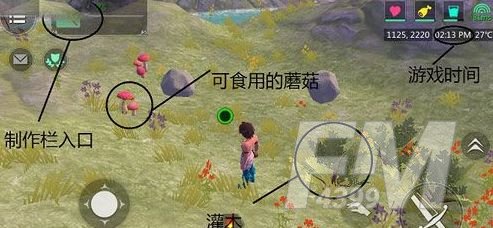 《创造与魔法》游戏前必看技巧介绍