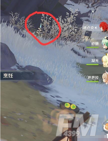 原神喂狐狸位置在哪里 喂狐狸位置介绍