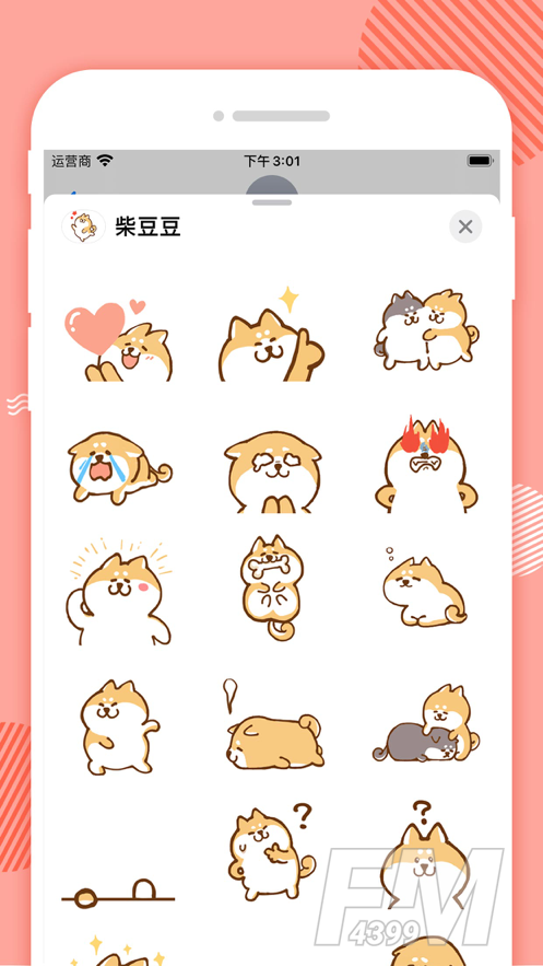 柴豆豆