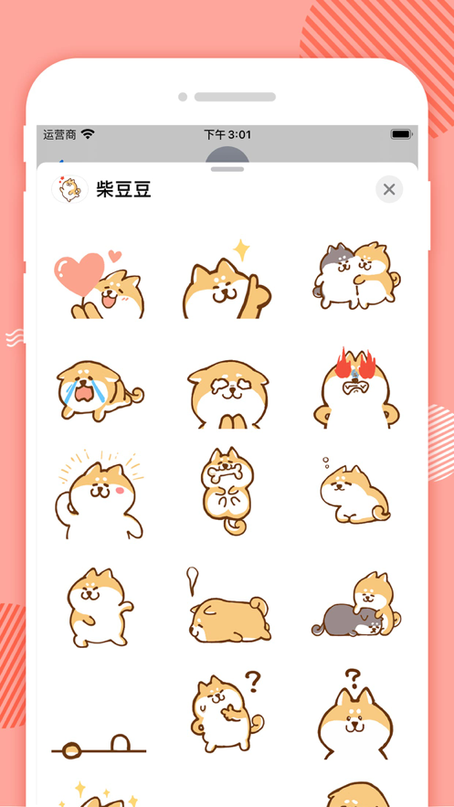 柴豆豆