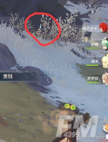 原神喂狐狸位置大全 原神在哪里可以喂狐狸