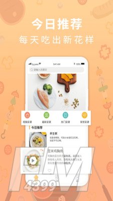 家乐食谱