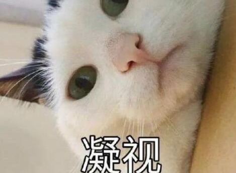 抖音堪忧踹是什么意思 堪忧踹出自哪里