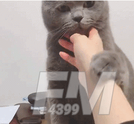 猫猫能有什么坏心眼呢表情包分享