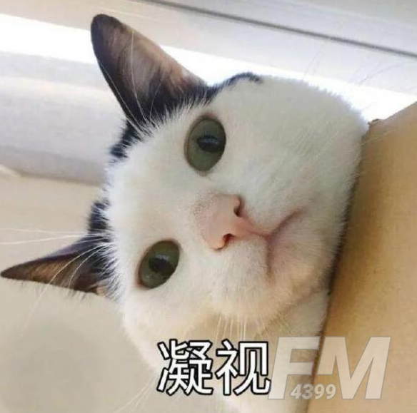 猫猫能有什么坏心眼呢表情包分享