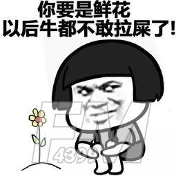 一起来拉屎吧是个什么梗 一起来拉屎吧表情图汇总
