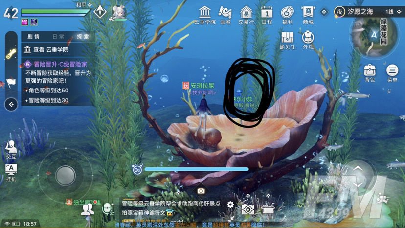 天谕手游水母之梦故事流程攻略