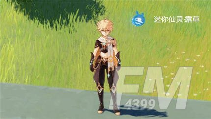 原神秘宝迷踪迷你仙灵兑换哪个好 秘宝迷踪迷你仙灵兑换推荐