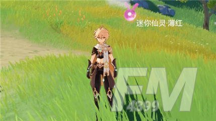原神秘宝迷踪迷你仙灵兑换哪个好 秘宝迷踪迷你仙灵兑换推荐