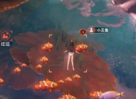 天谕手游汐愿之海鱼类都分布在哪里 海鱼类坐标图鉴