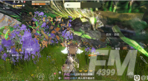妄想山海千年炎蝠怎么样