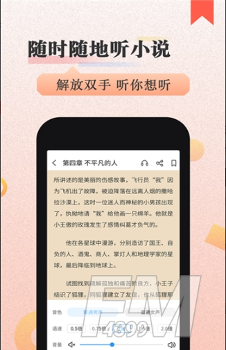 猫念小说