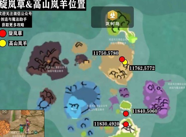 创造与魔法旋岚草位置在哪里 新的生物资源位置