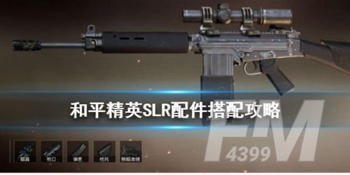 和平精英SLR配件搭配攻略 SLP配件搭配推荐[多图]图片1