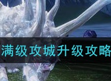 妄想山海满级攻城升级 满级攻城升级攻略