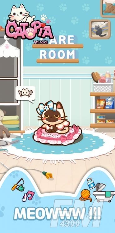 萌猫大本营